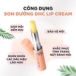 Son dưỡng môi DHC Nhật Bản